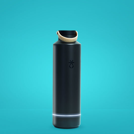 Luma UV Water Bottle